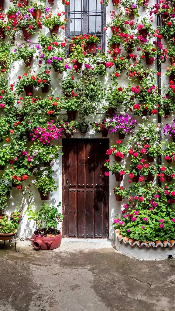 C&oacute;rdoba en flor