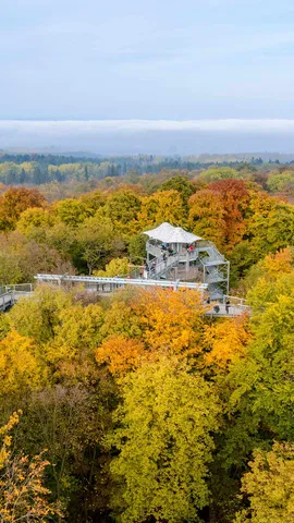Treetop walkway in Hainich National Park, Thuringia, Germany