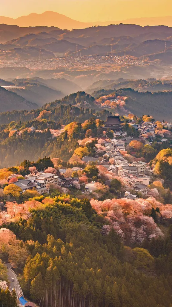 今日は清明