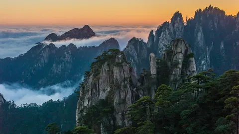 今天我们去爬山吧