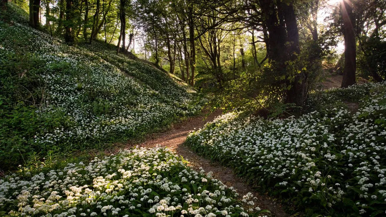 A 'clove' affair to remember