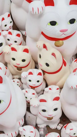 今日は招き猫の日