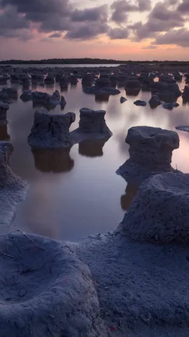 Where nature meets sustainability