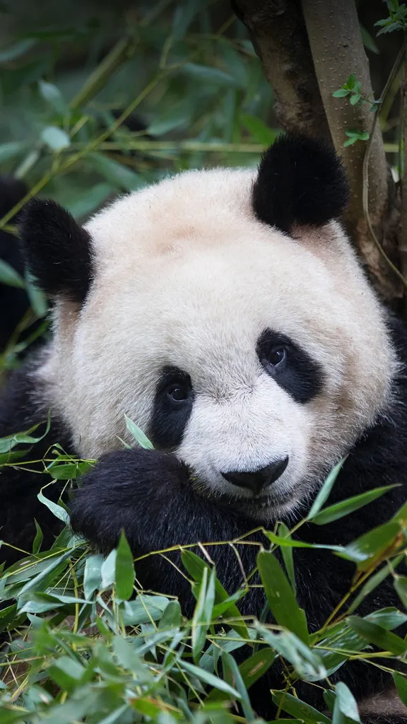 Etwas von der Rolle?