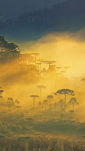 Uma neblina misteriosa