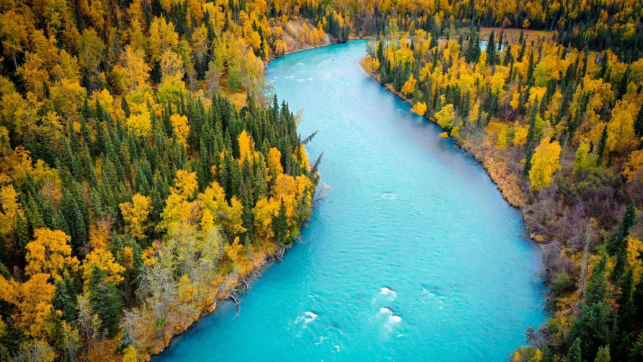 The blue, glacier-fed waters of the Kasilof River, Alaska, United States