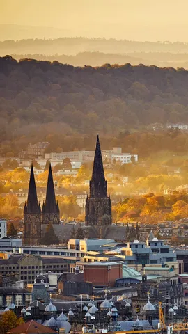 A majestic silhouette