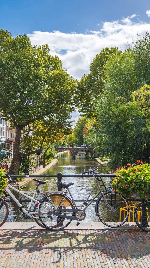 Felicidade sobre duas rodas