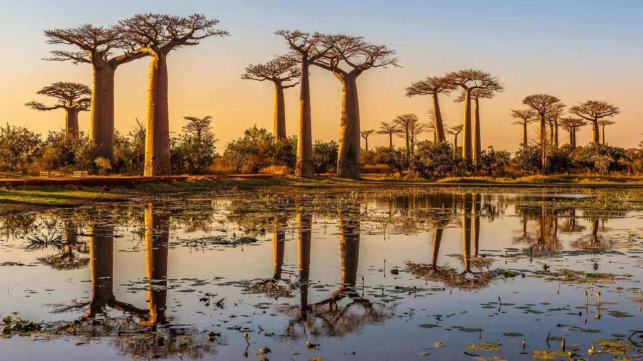 Majest&auml;tische Riesen der Natur