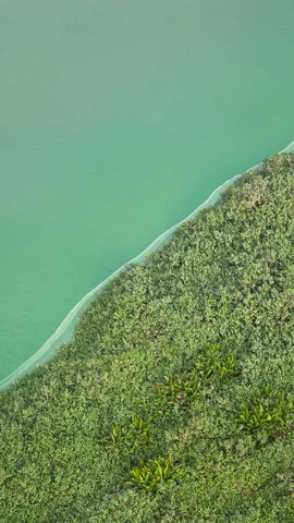 O segredo da Lagoa Verde