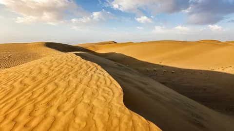 Sands of time in the Thar