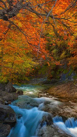 Oto&ntilde;o entrante, lluvias abundantes