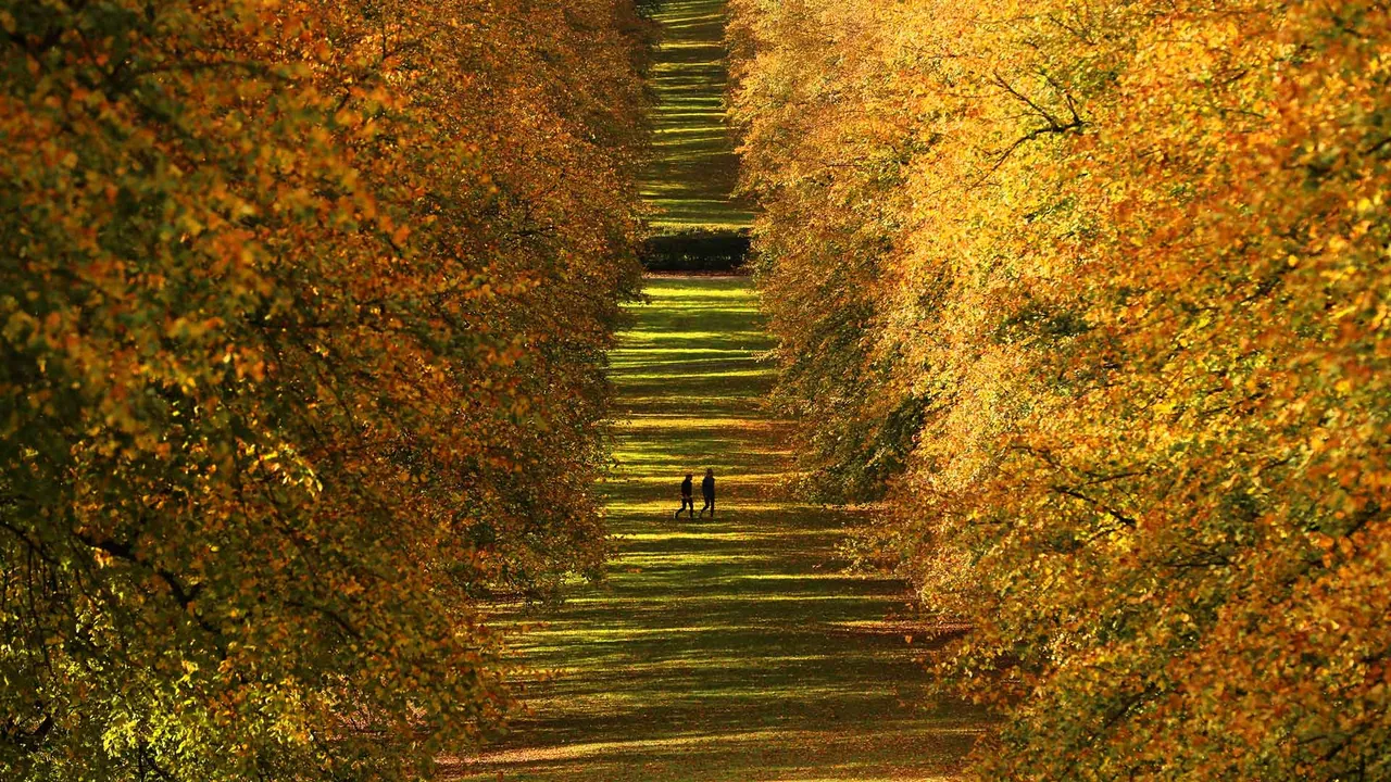 A leaf stomper's paradise
