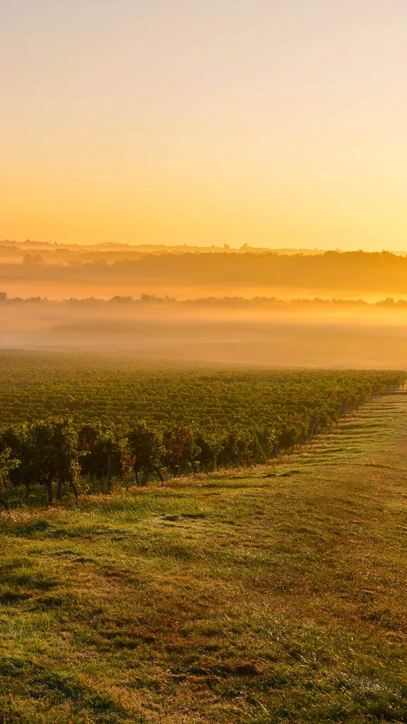 Dove storia, natura e vino si incontrano