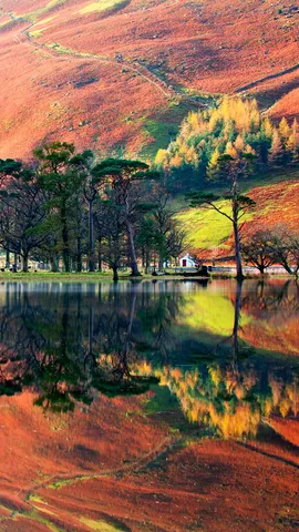 Fall into reflection