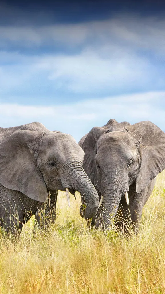 Fr&ouml;hliche Familie