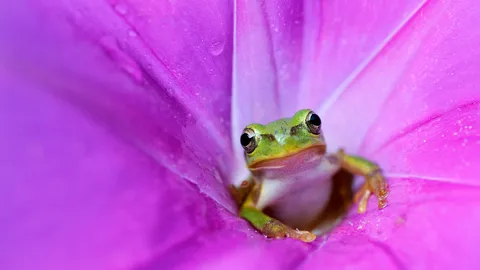 Hopping into April