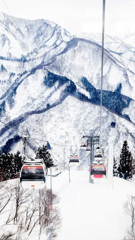 今日はスキーの日