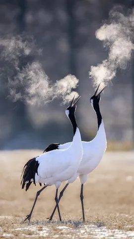 准备好发泄一些压力了吗？