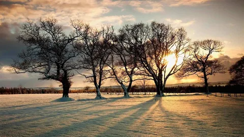 Tradition burns bright