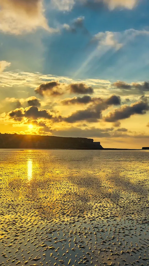 O dia em que a mar&eacute; virou