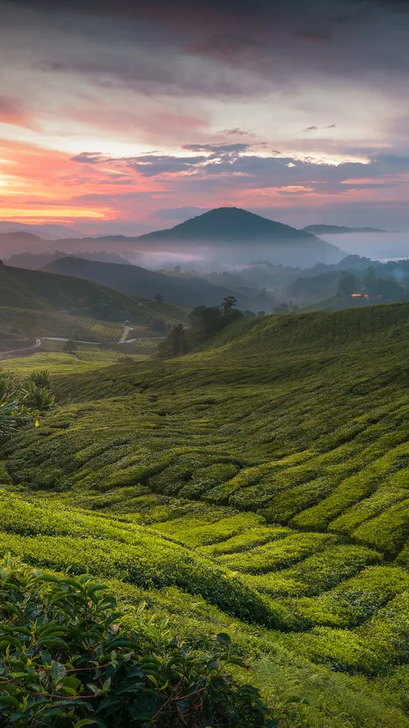 Una giornata all'insegna del t&egrave;