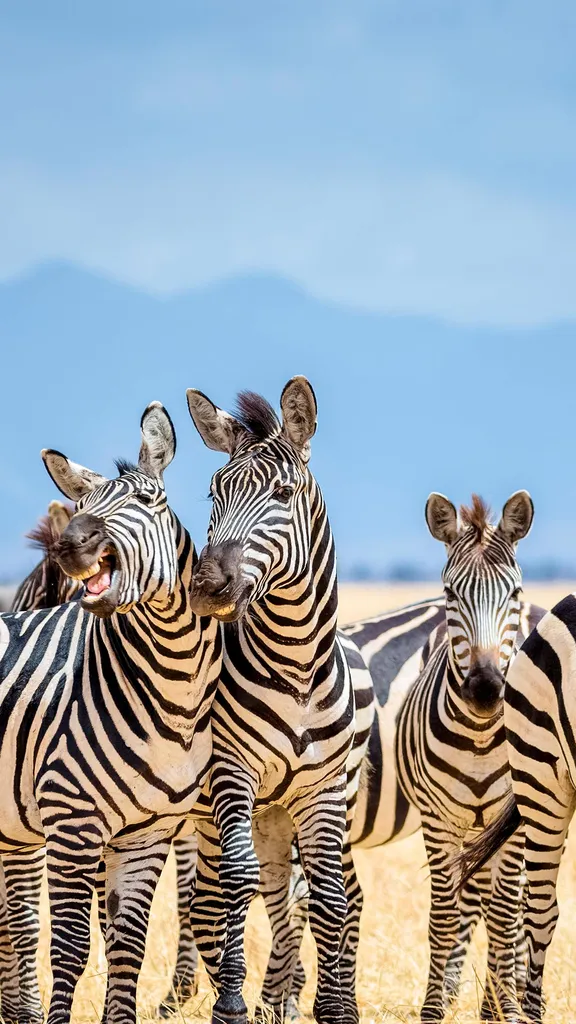 Ein Tag f&uuml;r Cousins und Cousinen aller Art