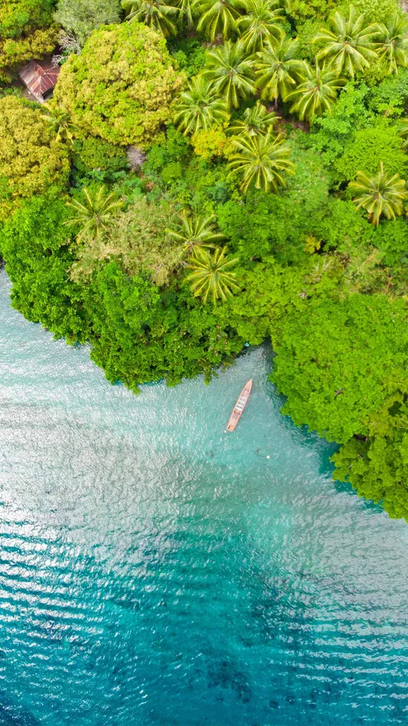 Sous le sunlight des tropiques