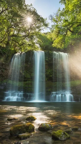 Veil of light
