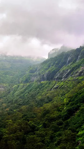 Misty roads and mountain moods