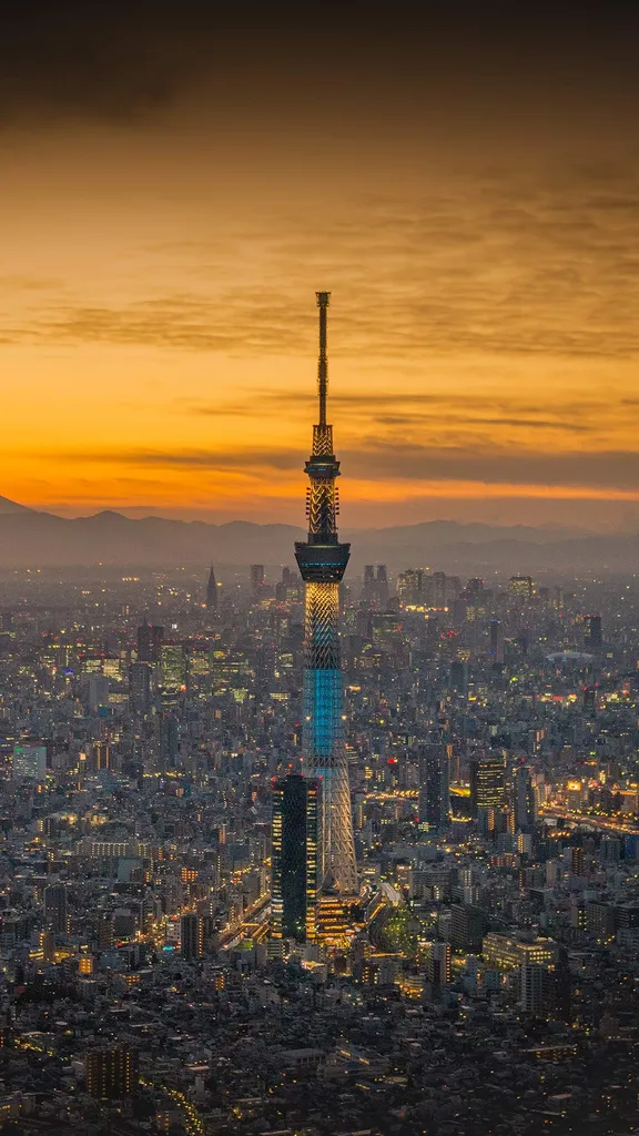 スカイツリー開業から 12 年