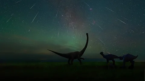 拍摄于二连浩特恐龙博物馆中的英仙座流星雨，中国内蒙古