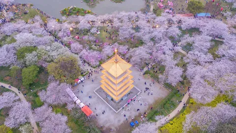 The shape of spring