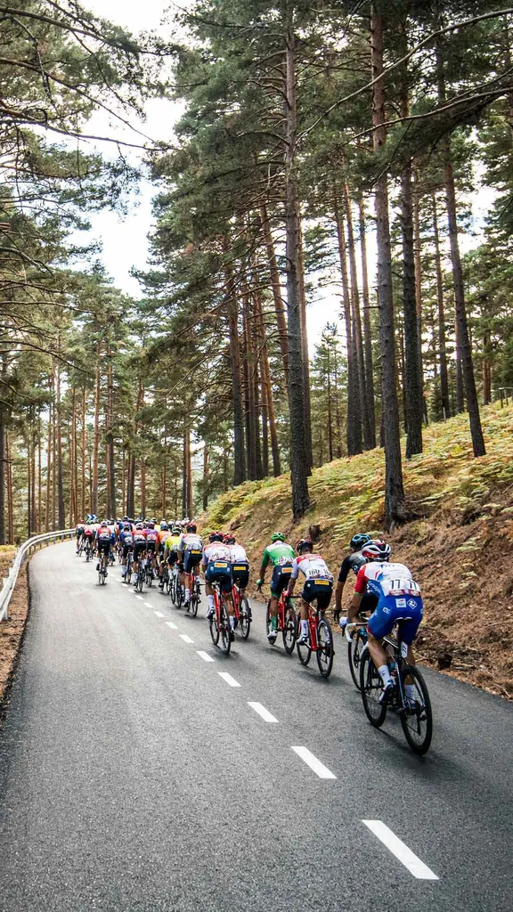 Vuelta a casa sobre ruedas