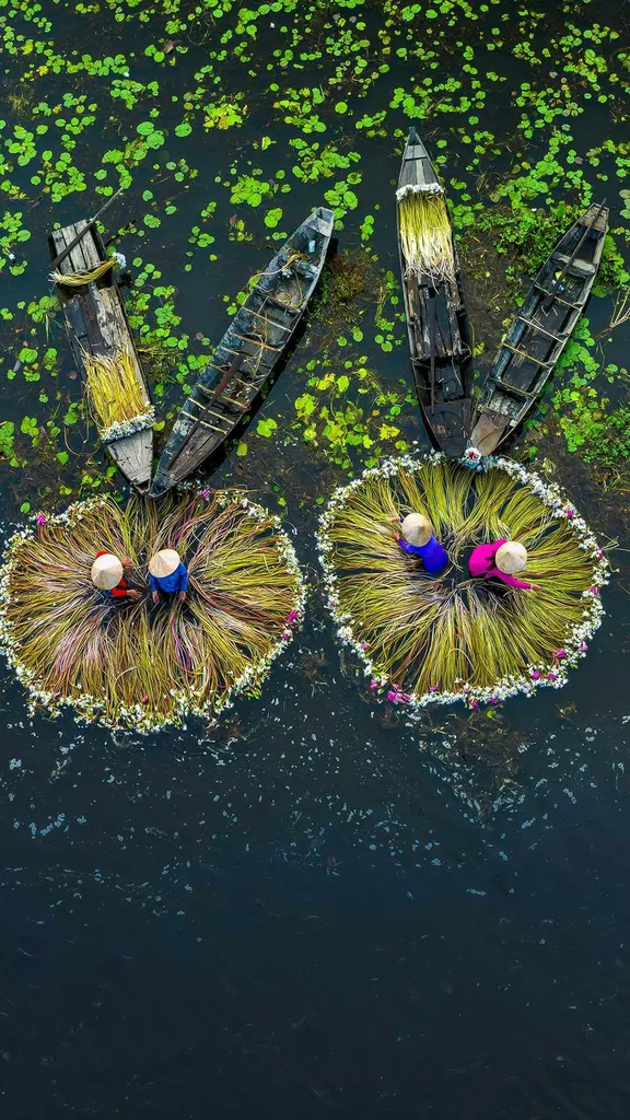 Teamwork makes the dream work