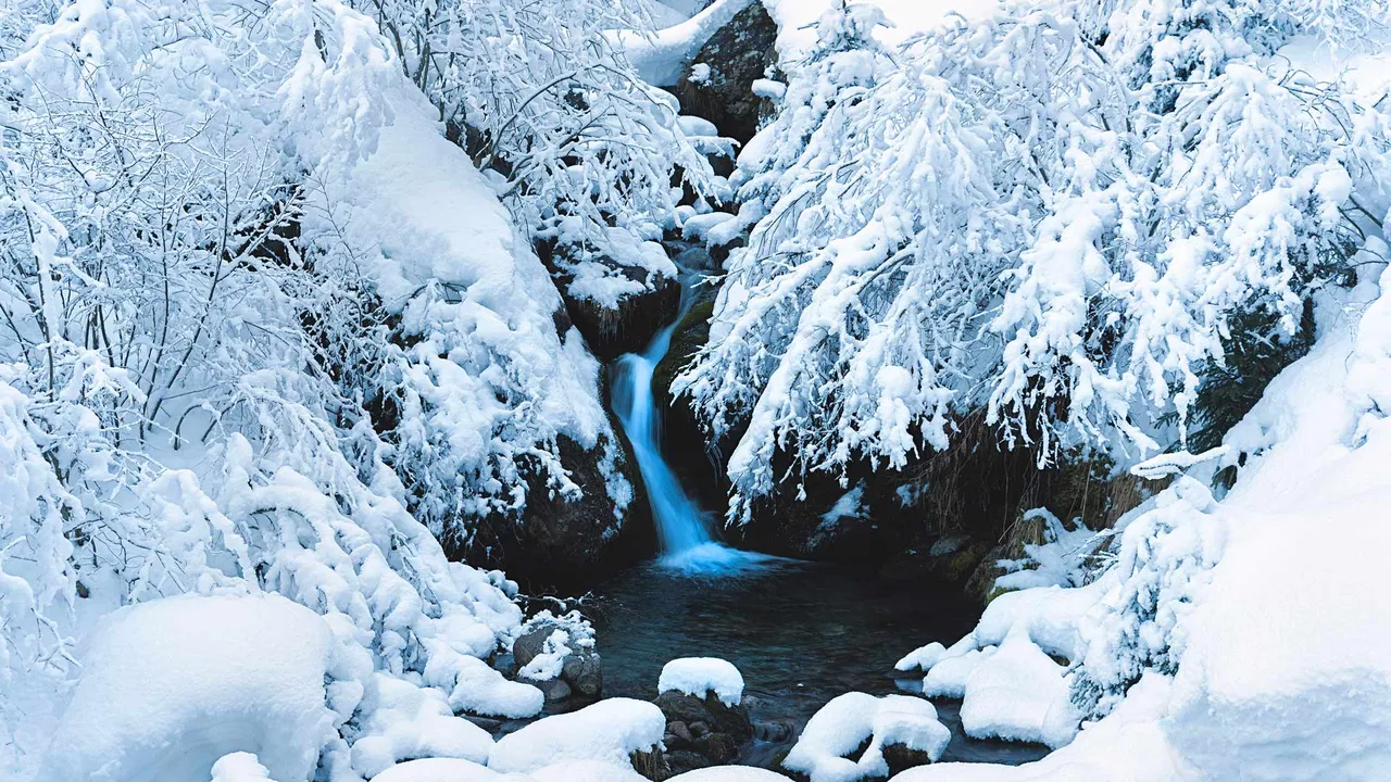 Echoes in white