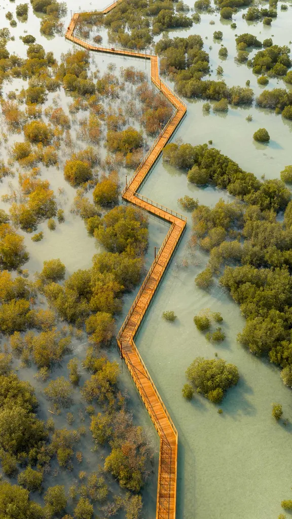 Salutate queste alofite!