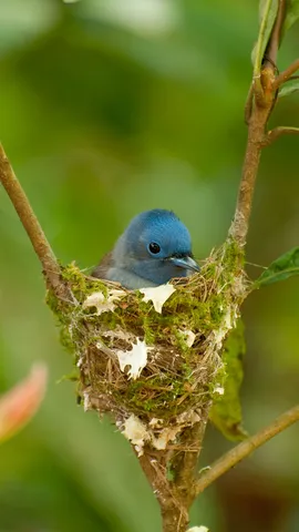 Entre teias, folhas e arte