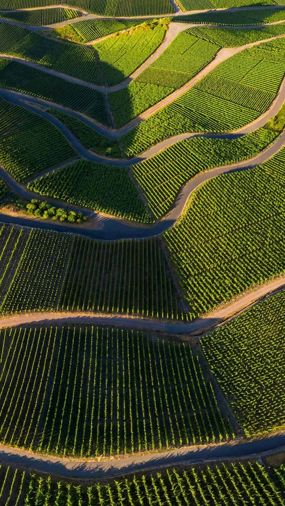 Baccanali teutoniche