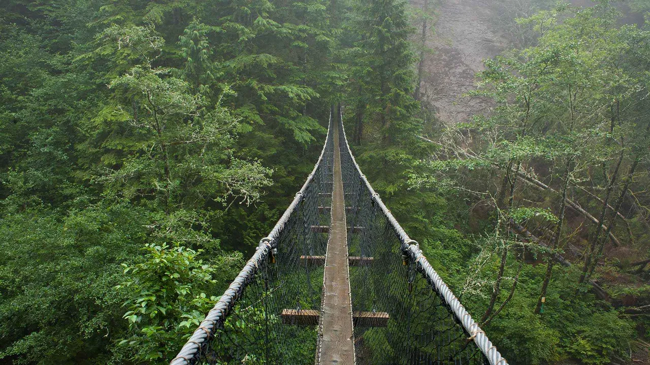 A step above the wild