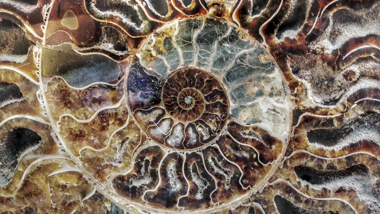 El c&oacute;digo secreto de la naturaleza