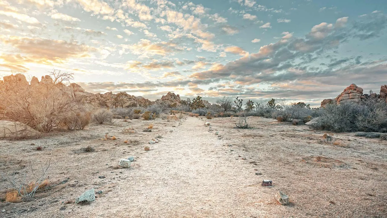 Where two deserts collide