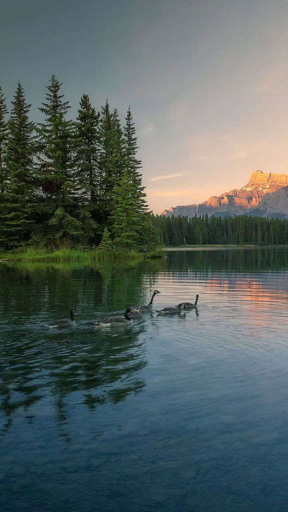 Feathered friends