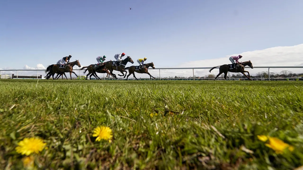 Hold your horses&mdash;it's race time!