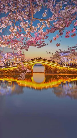 太湖畔的春天
