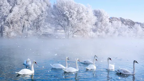 冬季仙境中的精灵