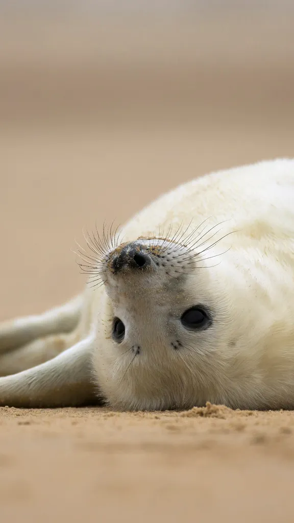 Welcome to the world, pup!