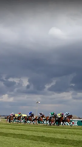 Just horsing around