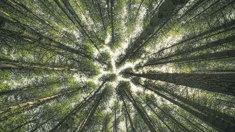 L'estate sta iniziando...