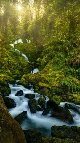 A waterfall in Olympic National Park, Washington, United States